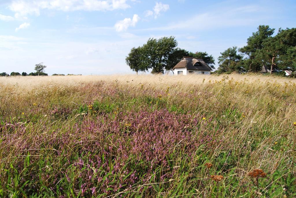 Ferienwohnung Hiddensee in Vitte Exterior foto